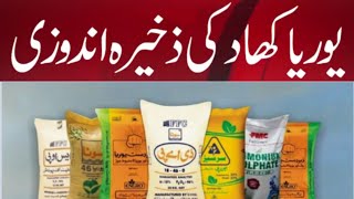 وزیراعلی ان ایکشن، محکمہ زراعت متحرک ، dap Subsidy update, urea update, Agriculture, punjab