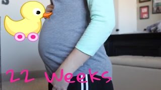 22 Week Bump Update| Feb 16, 2017