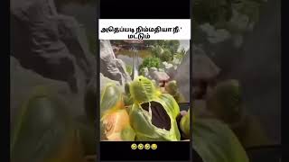 #fun #friends #friendship #comedy #tamil #tamilshorts #tamilreels #shorts #reels