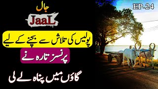 JAAL | EPISODE 24 | Urdu Hindi Story | Gumnaam Heroes