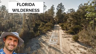 $185 down Florida Wilderness Land