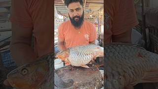 Amazing Big Egged Carp fish cutting 🔥| fish Carp 🔪 skills | live (part 2) #shorts #fish #trending