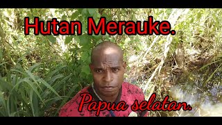 Berjalan di Hutan Rawa Papua.