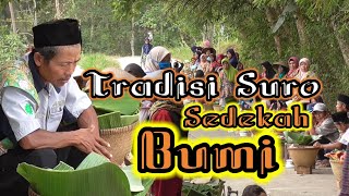 Tradisi Suro, Sedekah Bumi, Merdi Desa