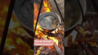 Уха настоящая жижа так говорит Википедия см. Описание #уха #fishsnacks #поход #proactive