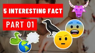 5 Interesting  Facts That You’ll Love To Know | 5 টি আকর্ষণীয় তথ্য যা আপনি জানতে পছন্দ করবেন।