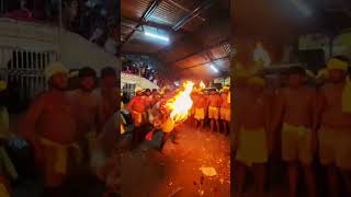 காரமடை பந்தசேவை 2024 | KARAMADAI PANDHASEVAI 2024 #karamadai #karamadaitv #fire #firedance #ranga