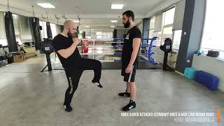 Knee & Kick Attacks Straight knee & kick,Low Round Kick