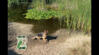 Losloopgebied de woensberg te huizen Noord Holland