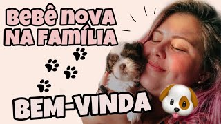 TEMOS UMA NOVA INTEGRANTE NA FAMÍLIA 🐶❤️ | CACHORRINHA FILHOTE