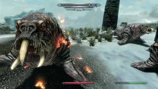 Not the Bees! SKYRIM PART 26