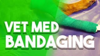 The Importance Of Bandaging w/ Brian's Bandages | The Veterinary Roundtable - EP51