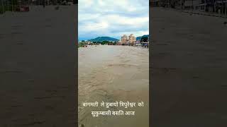 Bagmati le dubayoTripureshwor #shorts #badi#badikhabar #badininews #bagmatinadi #bagmati