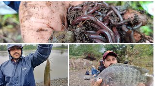 talapia Singal fish hunting @fish hunting jk fishing 91 hunting 🎣🎣