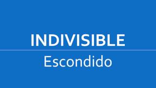 Escondido Indivisible Teach-In