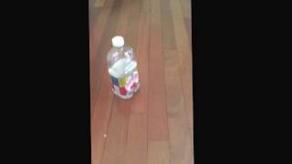 Bottle flip video