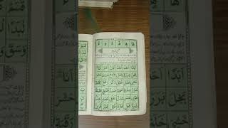 Recitation of Quran