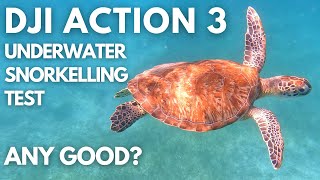 DJI ACTION 3 UNDERWATER TEST SNORKELLING IN ARUBA FOOTAGE #djiaction3