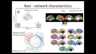 Mining Neuroimaging Data to Explore Brain Dynamics by Dr. Gowtham Atluri (Univ. of Minnesota)