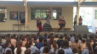 Colegio San Rafael Presentación Flamenco 5/8