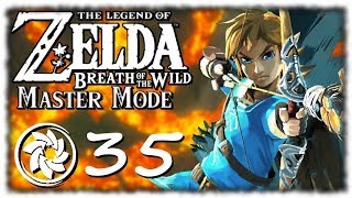 Breath of the Wild: Master Mode - PART 35 - Purple Dye