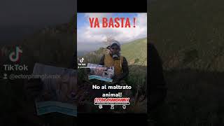 necesitamos leyes más severas en contra del maltrato animal