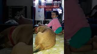 little boy playing wid his pet#love#Animal lover #trending#shorts