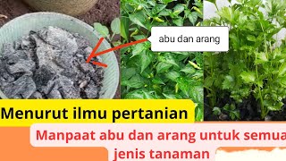 menurut ilmu pertanian!!!!manpaat abu dan arang untuk tanaman