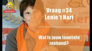 Vraag #34 DierenLot - Lenie 't Hart - Favoriete Zeehond