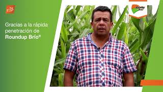 Control eficiente de malezas con Roundup® Brio | Agro Bayer Colombia​