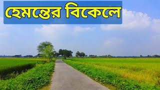 হেমন্তের বিকেলে নিস্তব্ধতার সাথে কিছুক্ষণ।