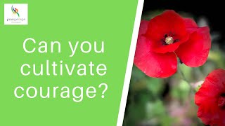 Can you cultivate courage?