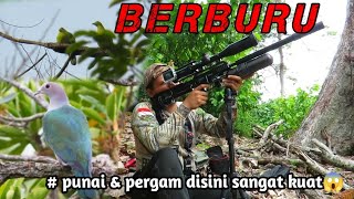 SPOT LAMA YANG MASIH MENJANJIKAN‼️BERBURU PERGAM & PUNAI // BURUAN DISINI SANGAT KUAT😱