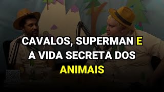 Cavalos, Superman e a Vida Secreta dos Animais