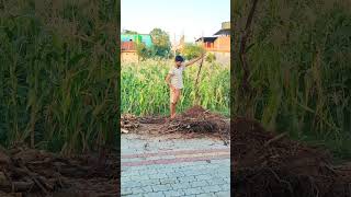 wood cutting #shorts #ytshorts #fypシ #viral #viralvideoshorts @katelyubaraj972