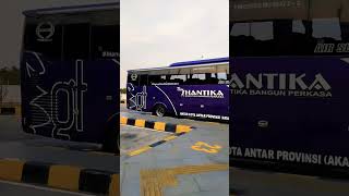 bus pahala kencana dan bus shantika