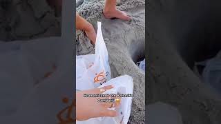 Cooler "improvisado" em praia de BC viraliza nas redes sociais