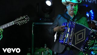 La Ley De Michoacan - El Gallo Fino (En vivo) (Official Music Video)