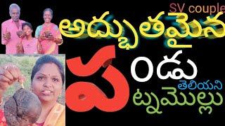 పట్నంఓలకి తెలియని ఒక అద్భుతమైన పండు చూద్దాం రండి #video #విలేజ్ #village #తాటి #youtubevideos