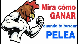 Qué hacer si te buscan pelea / La mejor estrategia para Ganar siempre / Alexander Cruzalegui