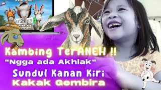 EDAN, Kambing ngga ada AKHLAK! tapi Kakak gembira lihat Tingkahnya (#GoatSimulator3 Eps.1)