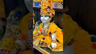 Krishna#shortvideo#laddugopal  #yoitubeshorts #shorts