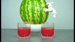 EXPERIMENTAL TEST | Make watermelon juice