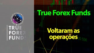 True Forex Funds - Voltaram as operações