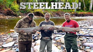 ERIE STEELHEAD fishing! COMBAT FISHING?