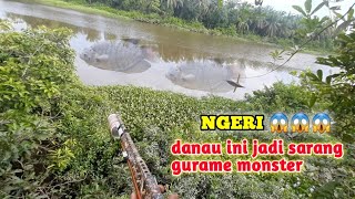 PASER IKAN !! NGERI BOSS😱😱 DANAU INI JADI SARANG IKAN GURAME MONSTER