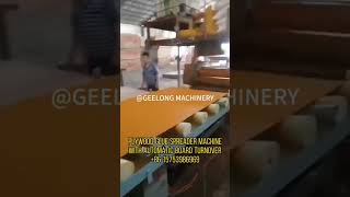 Plywood glue spreader machine, equipped with automatic panel turnover shelf #plywood  #machinery