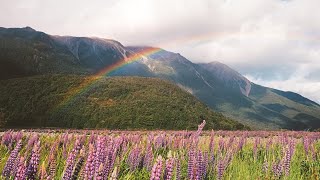 Time Passing in New Zealand