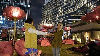 Flower Show ,Tsim Sha Tsui K11 MUSEA || hongkong