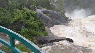 Rain and River water flowing in river !